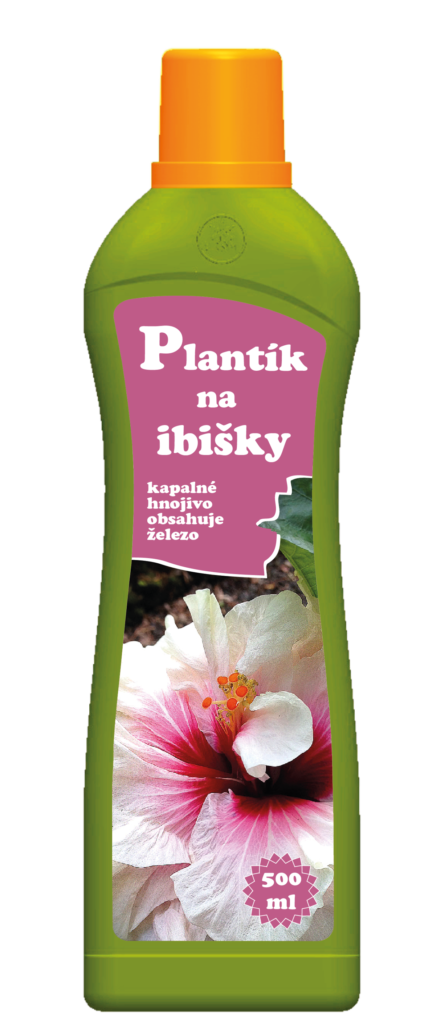 Jak hnojit ibišky?